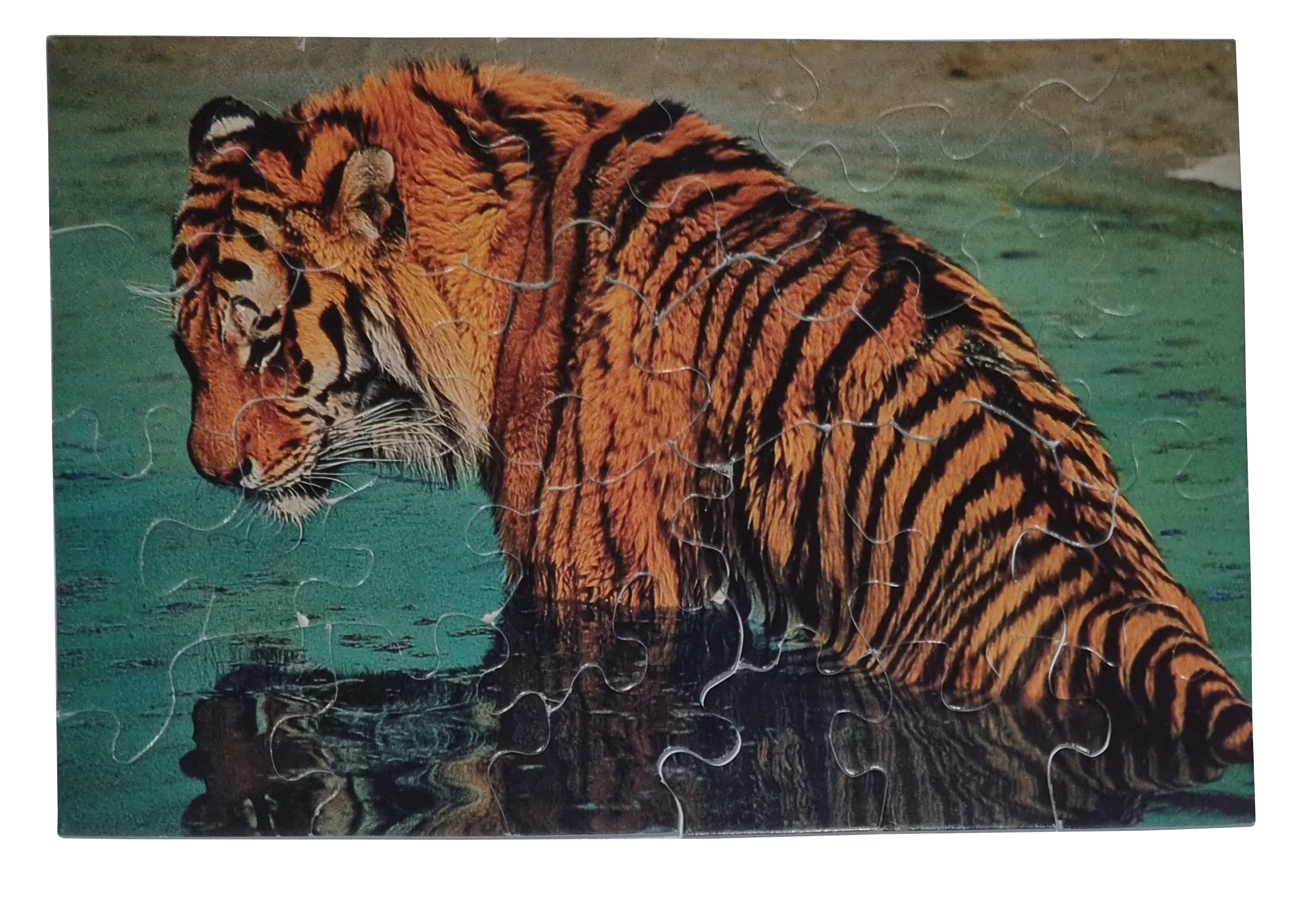 Puzzeln Einzeln Tiger 24 Teile