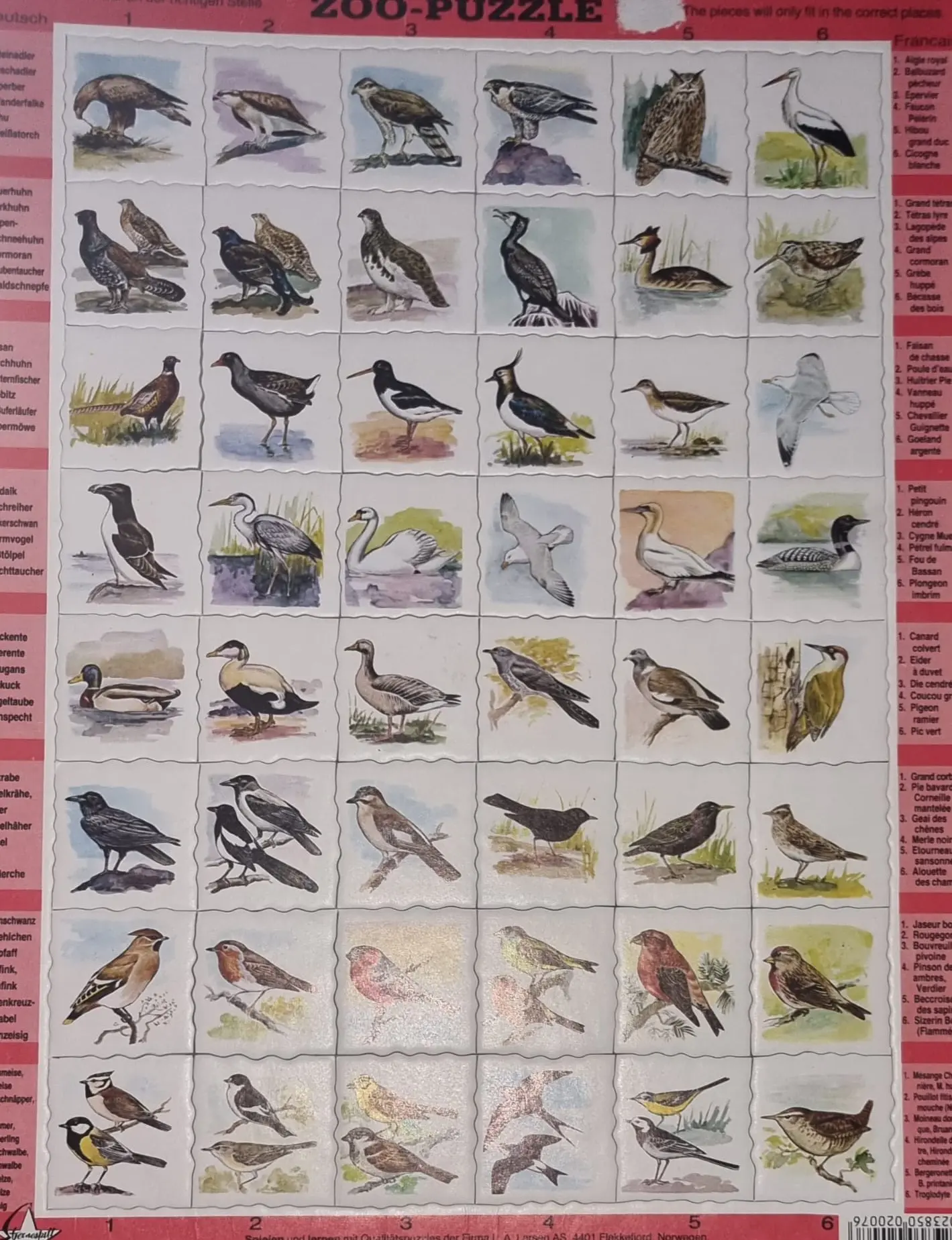 Vogel-Puzzle Zoo-Puzzle 48 Teile