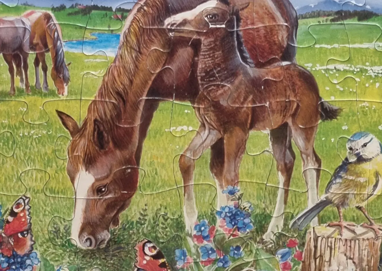 Ravensburger Rahmenpuzzle Pferde 25 Teile 064731