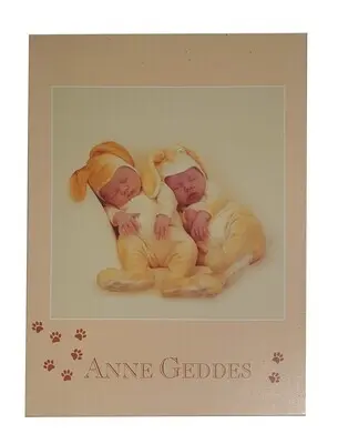 Schmidt Puzzle 1000 Teile Anne Geddes 57978