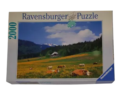 Ravensburger Puzzle 2000 Teile 166398 Schwarzwald im Bärental