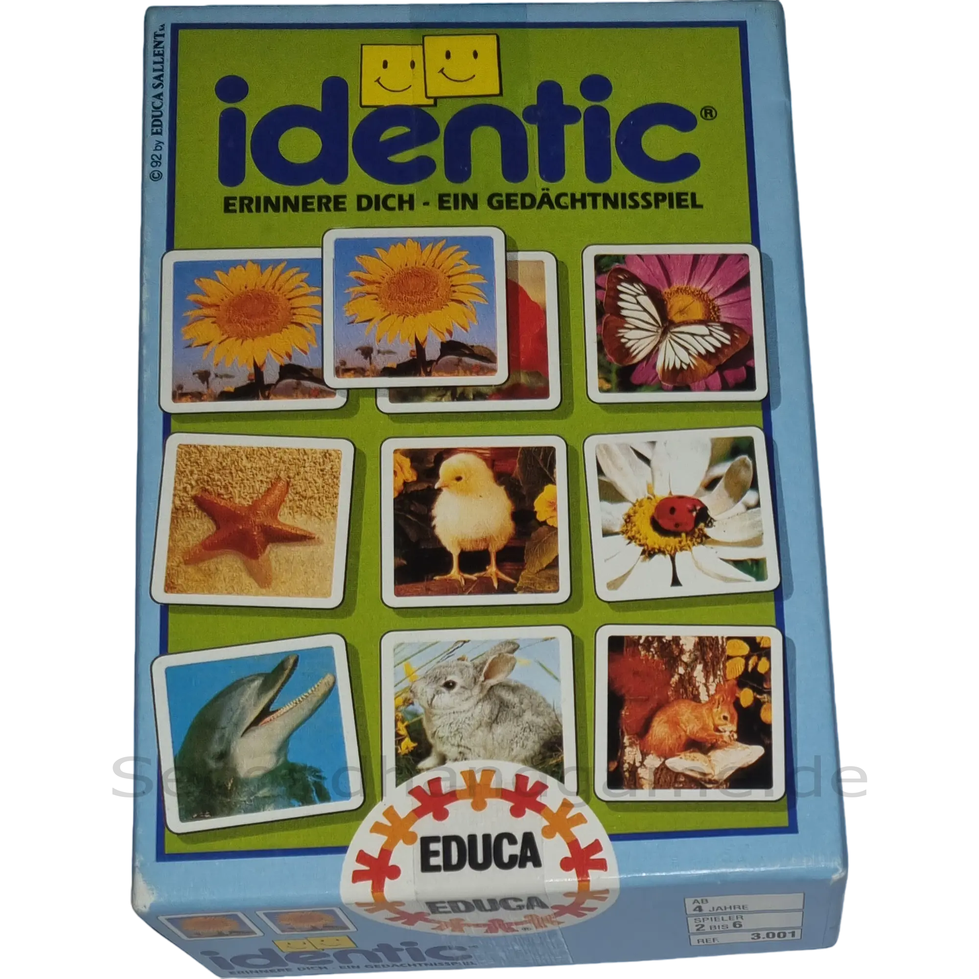 Educa Identic Erinnere dich - Ein Gedächtnisspiel